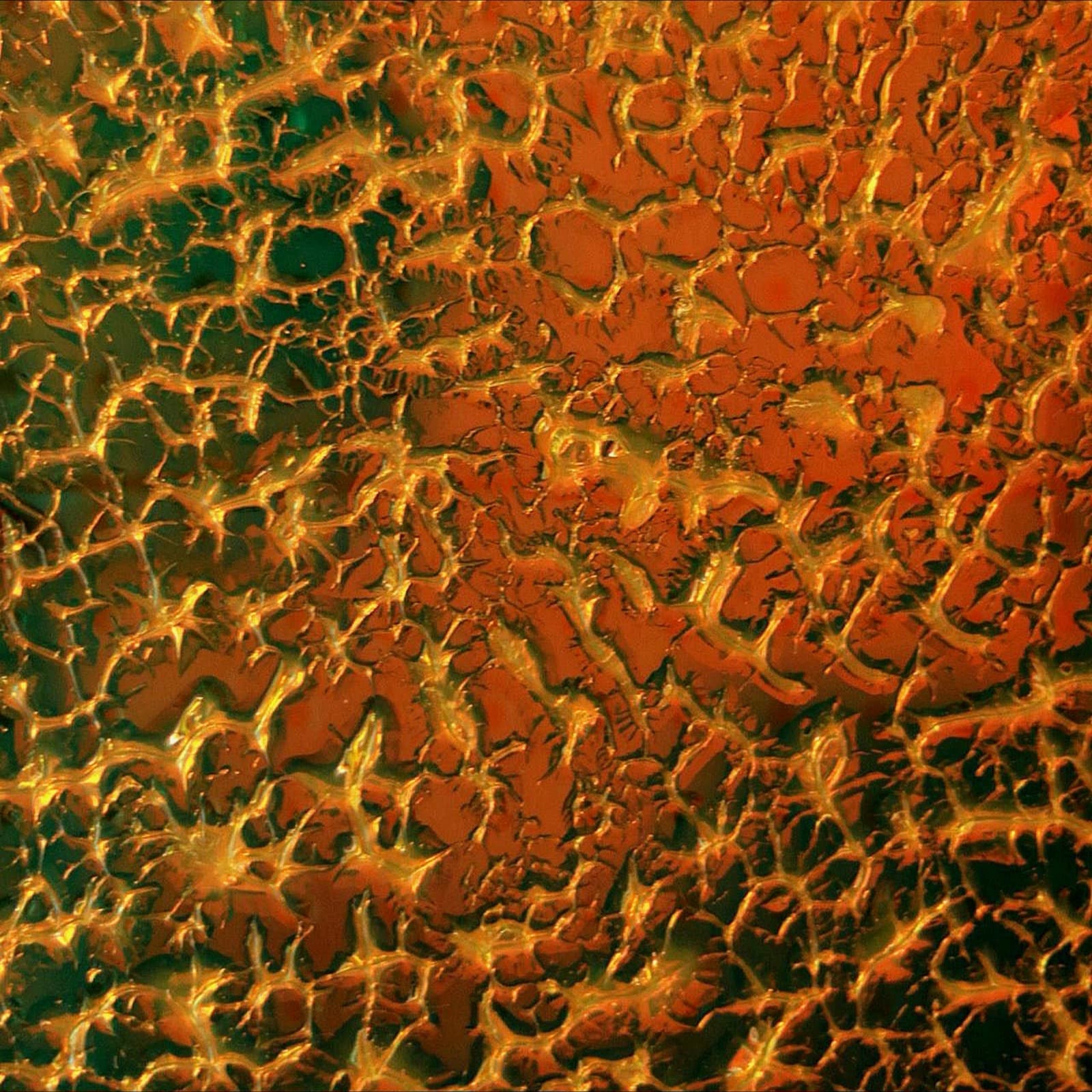 Natif Orchestra - Hermanstraße